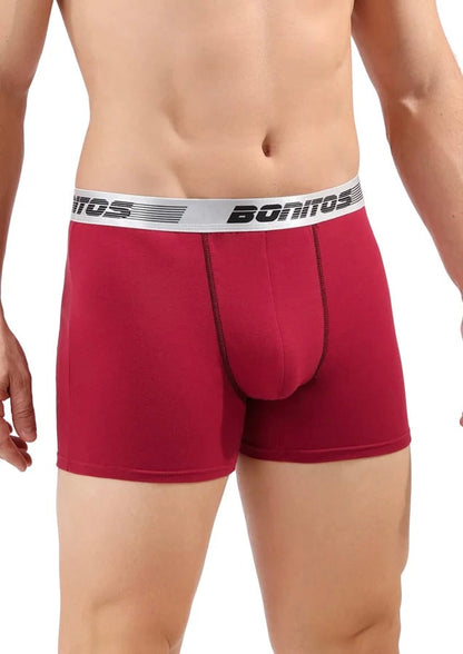 Boxer Shorts Men's Panties Homme Underpants Boxershorts Underwear for Man Cotton Male Couple Sexy Set Calecon Lot Soft Box 4pcs