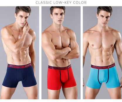 Boxer Shorts Men's Panties Homme Underpants Boxershorts Underwear for Man Cotton Male Couple Sexy Set Calecon Lot Soft Box 4pcs