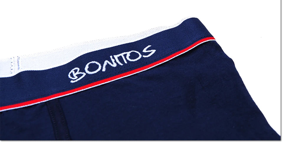 Boxer Shorts Men's Panties Homme Underpants Boxershorts Underwear for Man Cotton Male Couple Sexy Set Calecon Lot Soft Box 4pcs