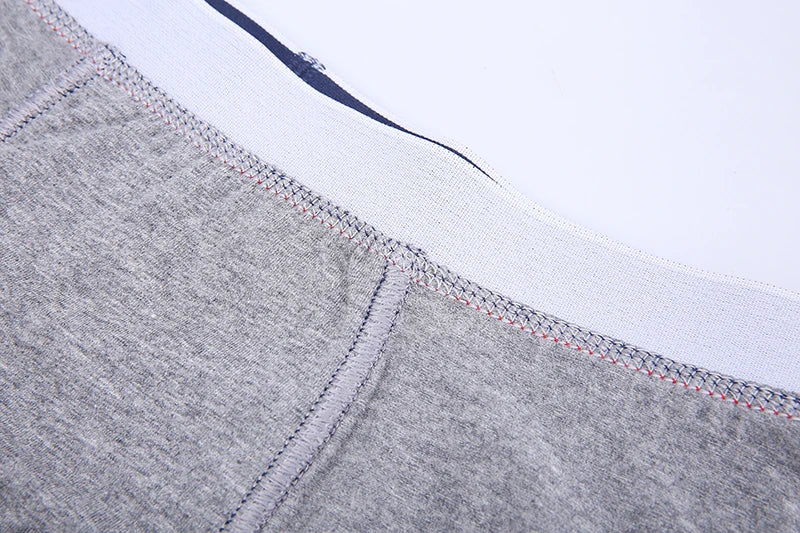 Boxer Shorts Men's Panties Homme Underpants Boxershorts Underwear for Man Cotton Male Couple Sexy Set Calecon Lot Soft Box 4pcs