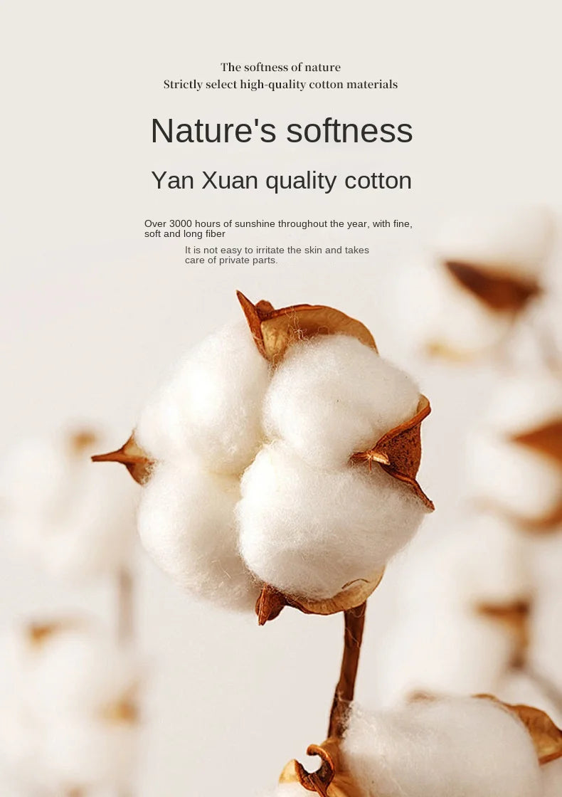 4PCS Sexy WOMEN'S Cotton Thong Underwear for Europe and the United States 22 to 34 Inch Waist Women