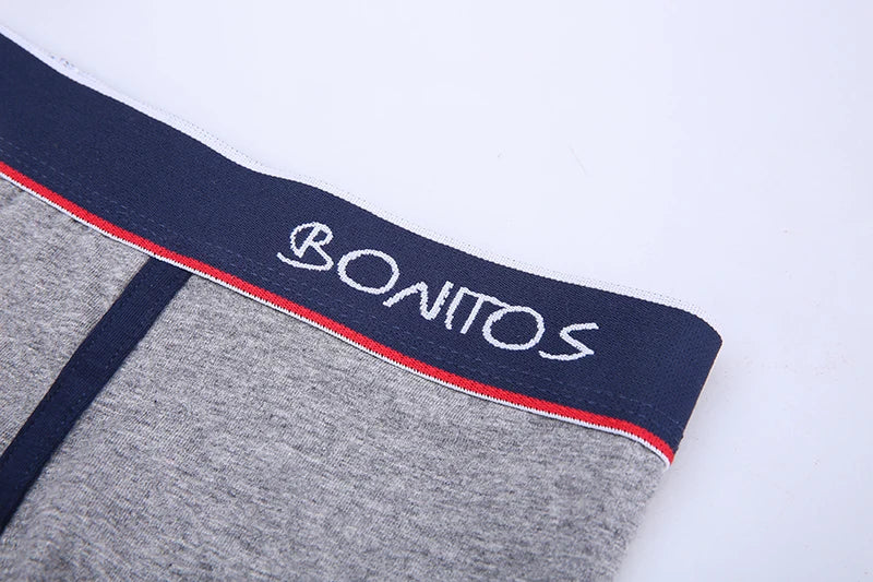 Boxer Shorts Men's Panties Homme Underpants Boxershorts Underwear for Man Cotton Male Couple Sexy Set Calecon Lot Soft Box 4pcs