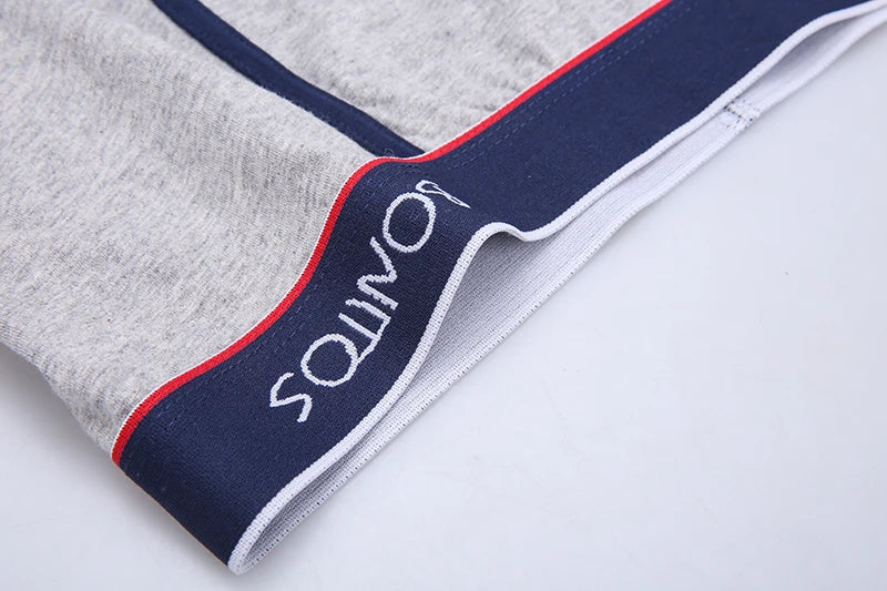 Boxer Shorts Men's Panties Homme Underpants Boxershorts Underwear for Man Cotton Male Couple Sexy Set Calecon Lot Soft Box 4pcs